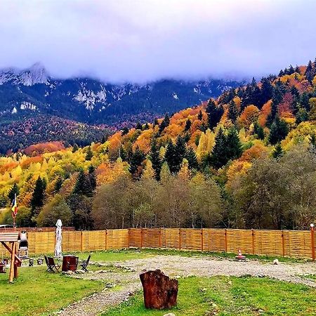 Aroa Mountain 4 Villa Zărneşti Екстериор снимка