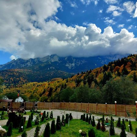 Aroa Mountain 4 Villa Zărneşti Екстериор снимка