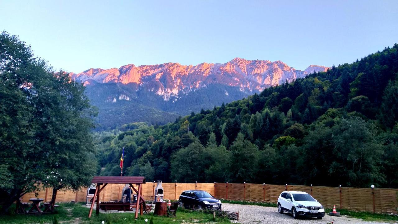 Aroa Mountain 4 Villa Zărneşti Екстериор снимка