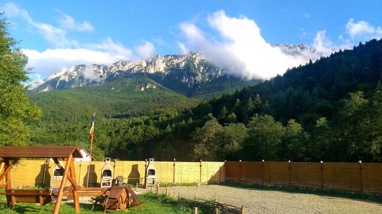 Aroa Mountain 4 Villa Zărneşti Екстериор снимка