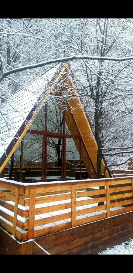 Aroa Mountain 4 Villa Zărneşti Екстериор снимка