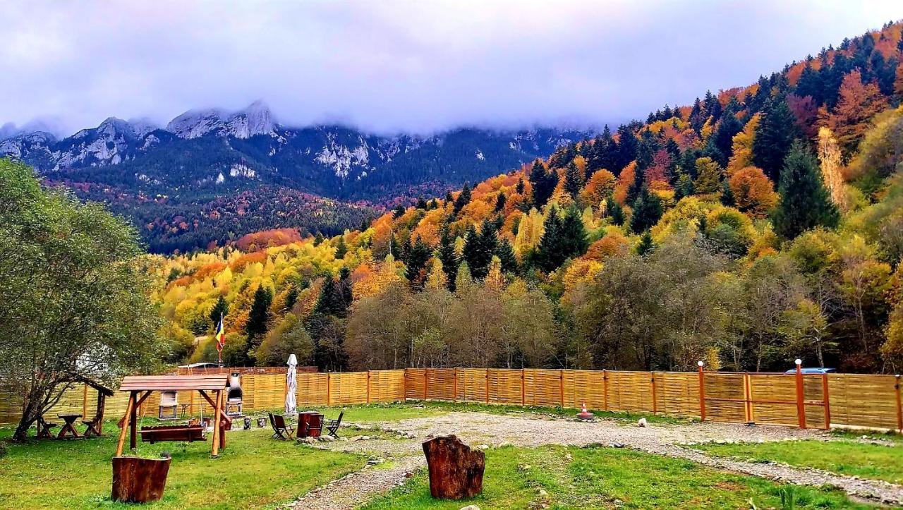 Aroa Mountain 4 Villa Zărneşti Екстериор снимка