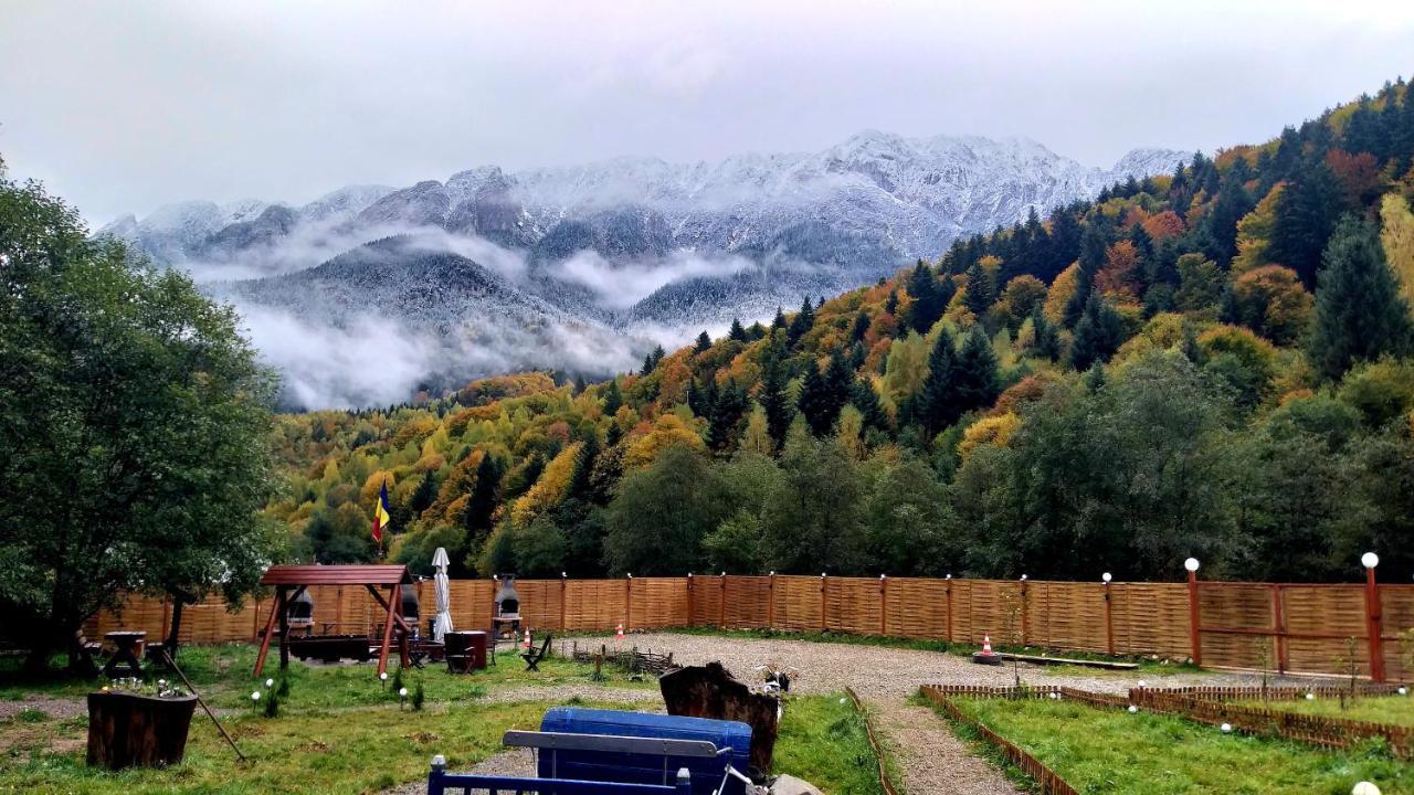 Aroa Mountain 4 Villa Zărneşti Екстериор снимка