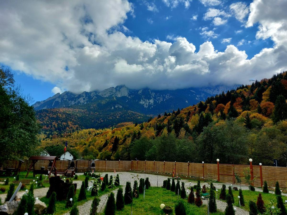 Aroa Mountain 4 Villa Zărneşti Екстериор снимка