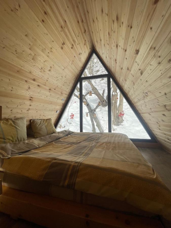 Aroa Mountain 4 Villa Zărneşti Екстериор снимка