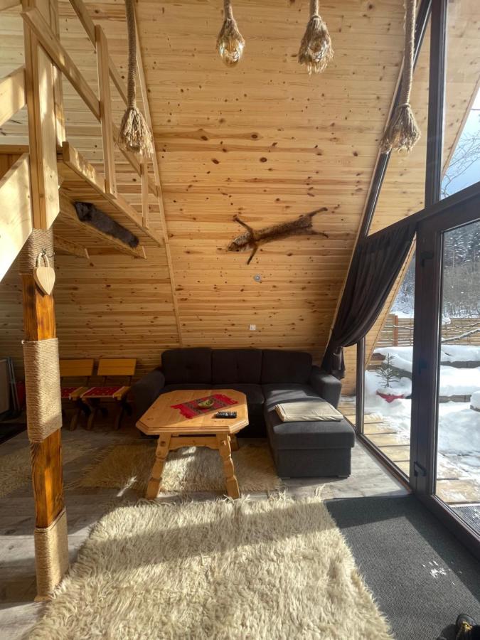 Aroa Mountain 4 Villa Zărneşti Екстериор снимка