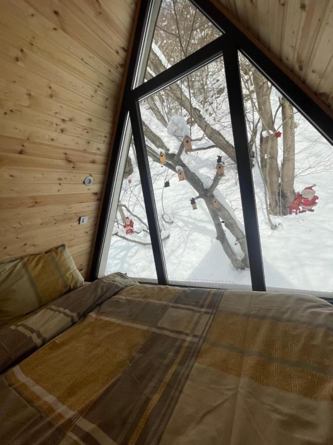 Aroa Mountain 4 Villa Zărneşti Екстериор снимка